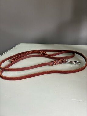 Brown Leather Braided Accent Dog Leash